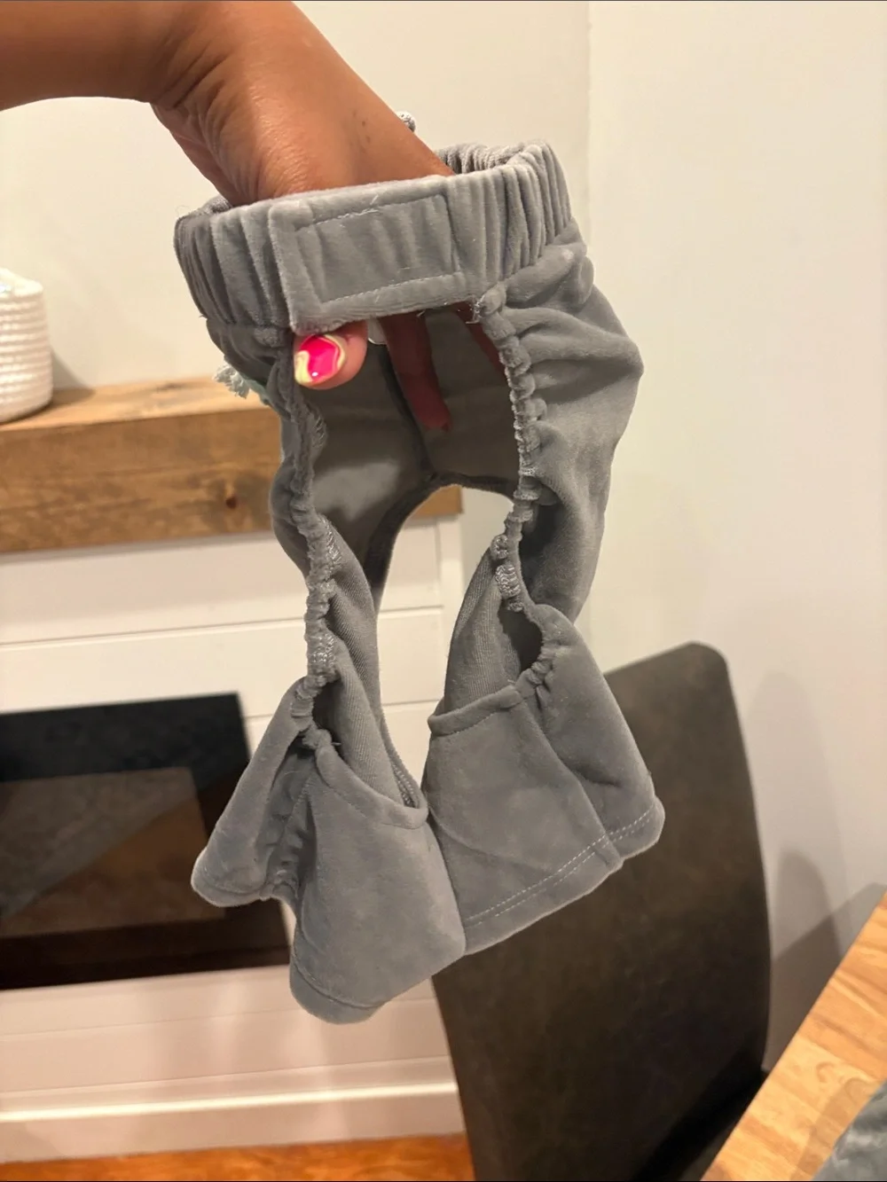 Gray Velour Pet hoodie pants set